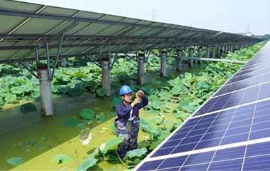 Che cos'è la produzione di energia fotovoltaica agricola?